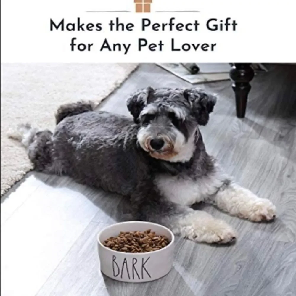 HostPic🥰 Rae Dunn Ceramic Dog Dish(food or water)